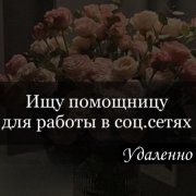 Работа на дому - Ассистент/наставник(курс). Фото