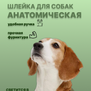 Работа на дому - дизайн карточек на маркетплейсах. Фото