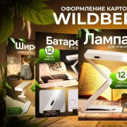 Работа на дому - Инфографика для маркетлейса. Фото