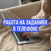 Простые задания от заказчика(курс)
