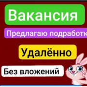 Оператор чата А