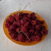 Работа на дому - тексты, стихи, слоганы, отзывы, ведение соц.сетей, сообщения. Фото
