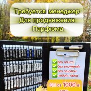 Удалённый сотрудник - фото