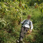 оставлять отзывы/составлять описания и тд и тп грибяура абуб - фото