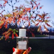 Аромастилист - фото