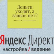 Младший помощник Директолога