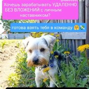 Работа на дому - Оператор чата А. Фото