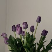 Любая из описания - фото