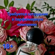 Менеджер - фото