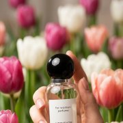 Продвижение компании VERITATE - фото