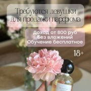 Менеджер по размещению рекламы - фото