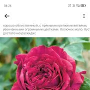 Прохождение опросов