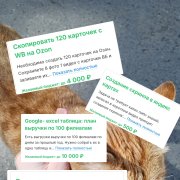 Исполнитель простых заданий ( курс)