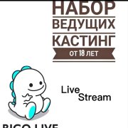 Стример , блогер ведущий - фото