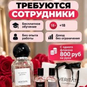 Менеджер по продажам - фото